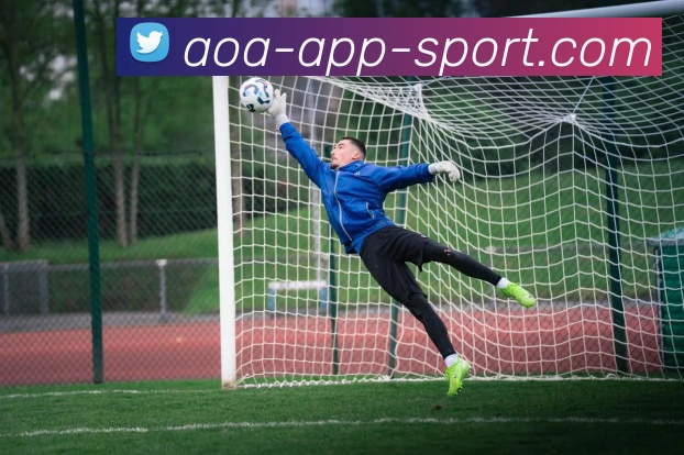 AOA体育平台生态图